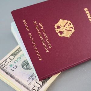 Van der Elst, Vander Elst, delegowanie, Niemcy, delegowanie Ukraińców